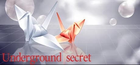 Underground secret görsel 1