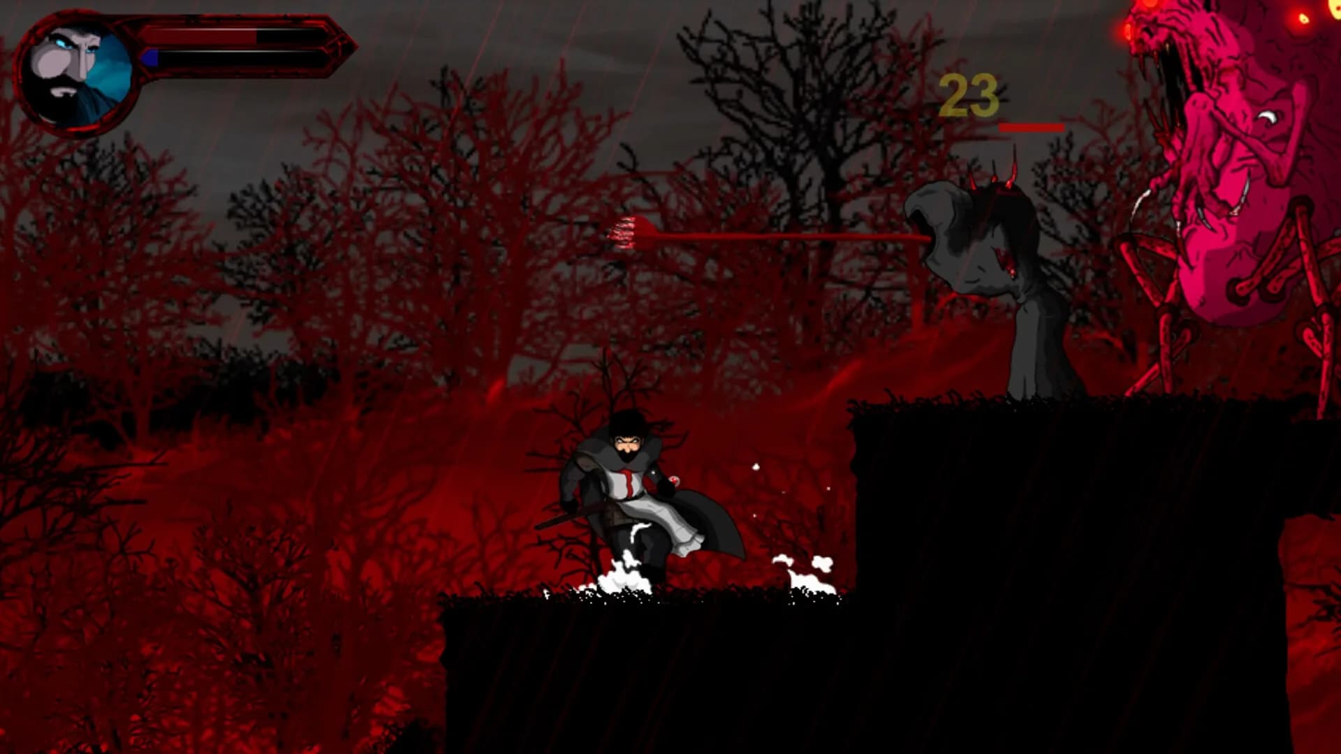 Templar 2 görsel 5