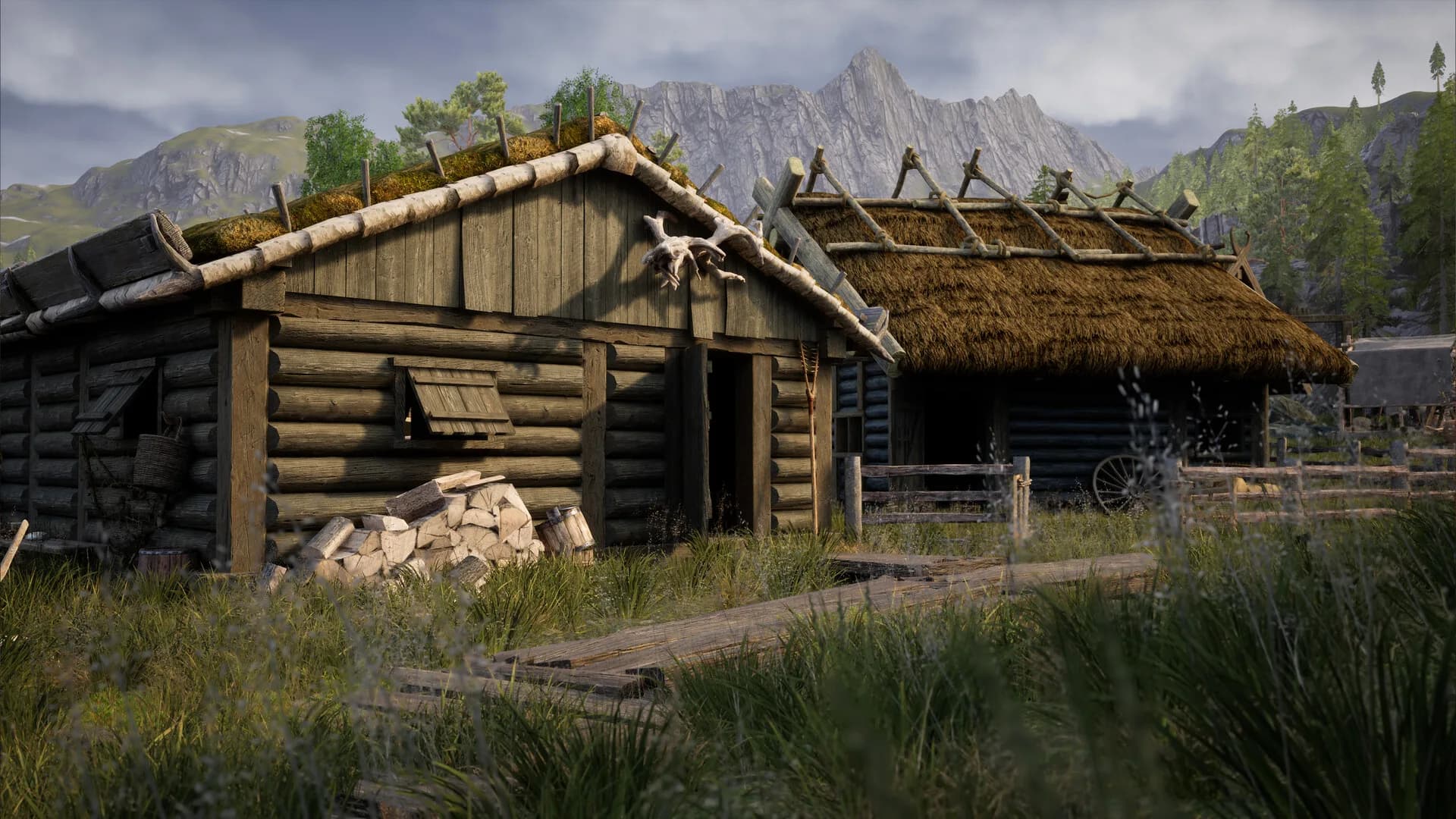 Vikings Dynasty görsel 2