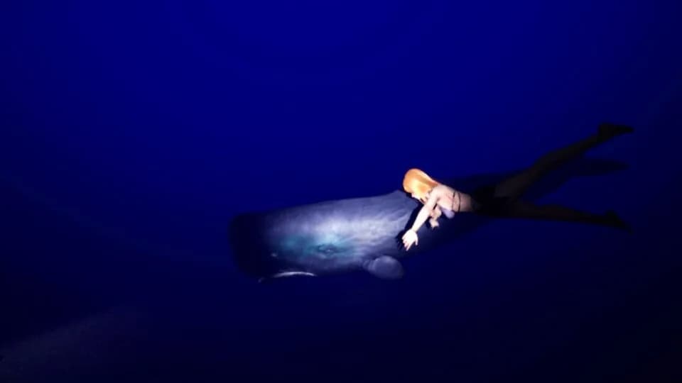 DeepSea Serenity: VR Underwater Trip görsel 5