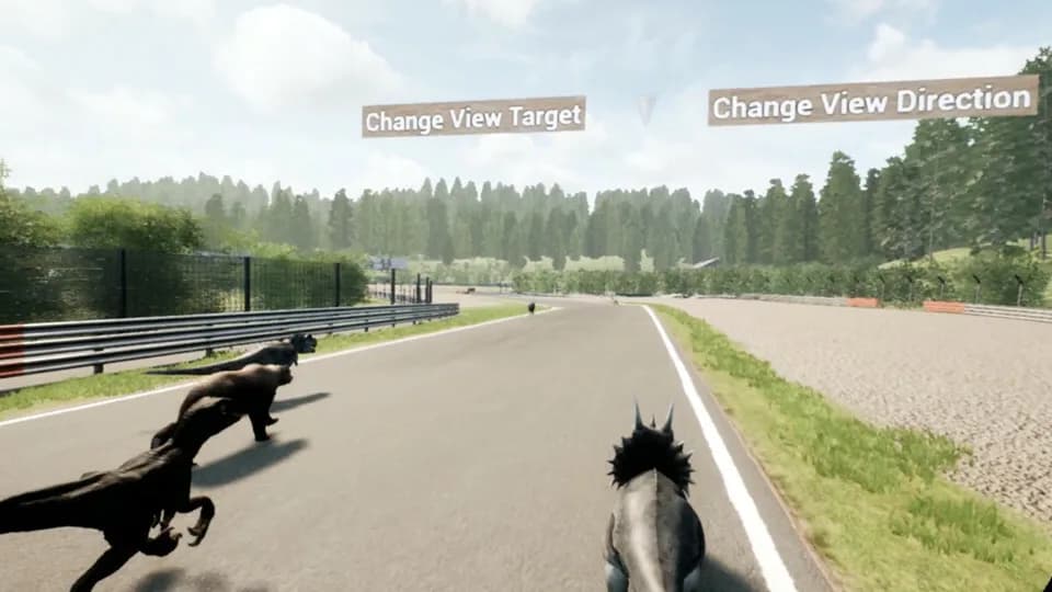 Animal Race Run VR görsel 5
