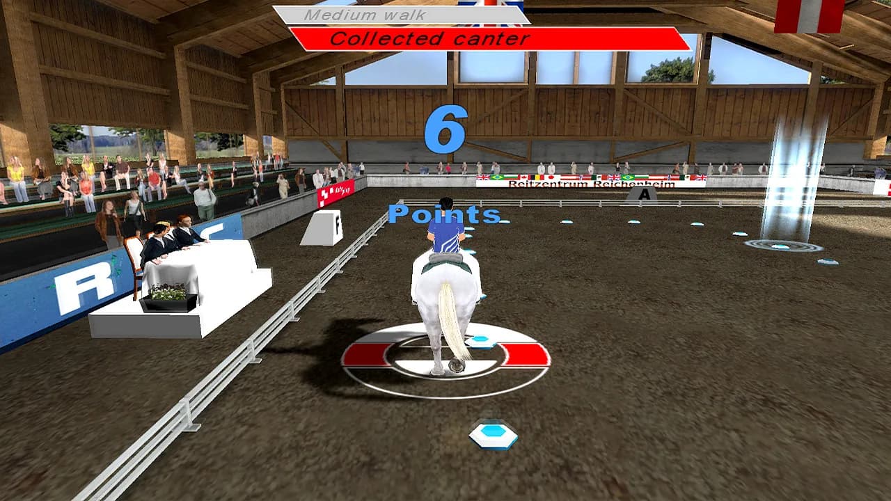 Riding Star - Horse Championship! görsel 5