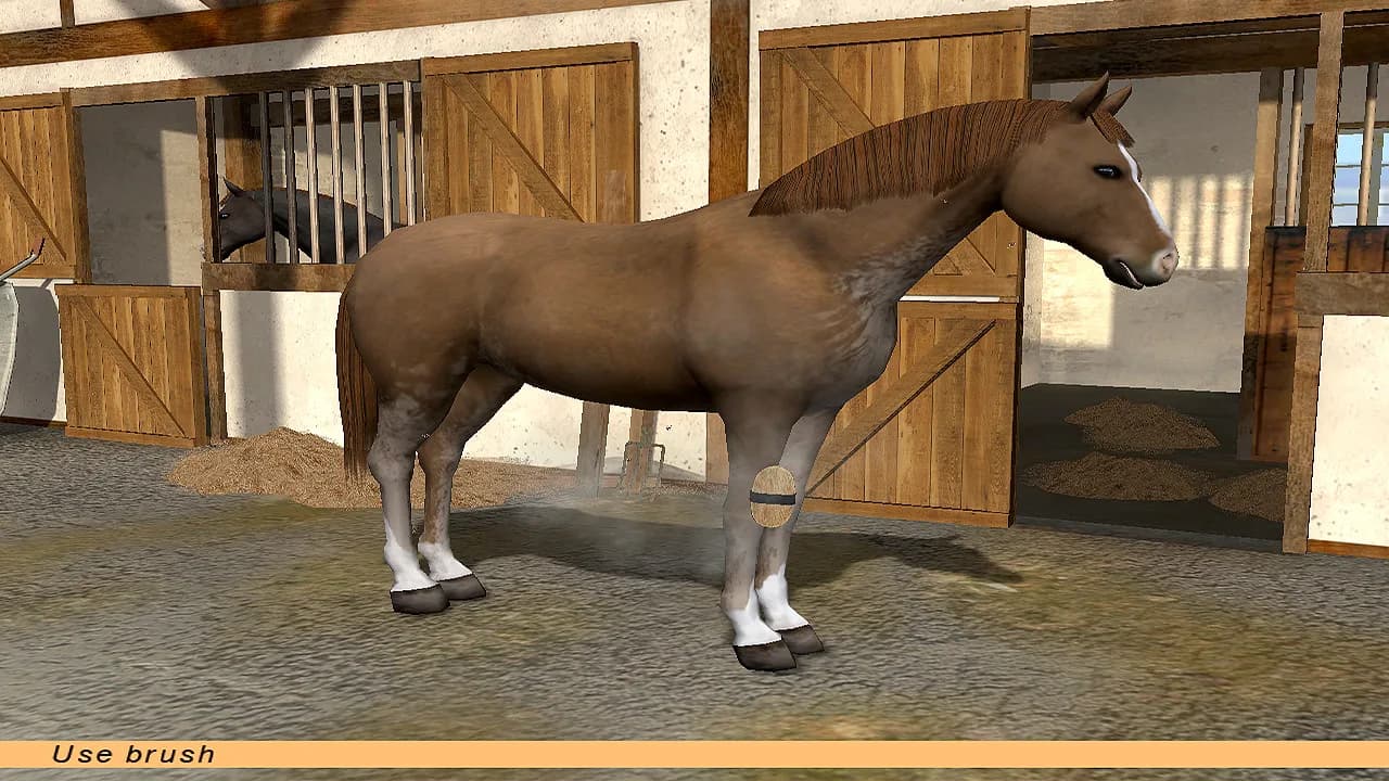 Riding Star - Horse Championship! görsel 8