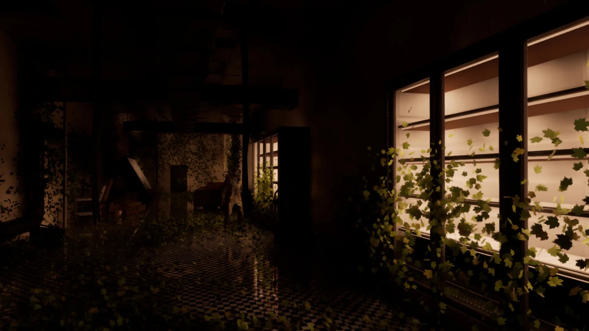 The Upper Downer Complex görsel 2