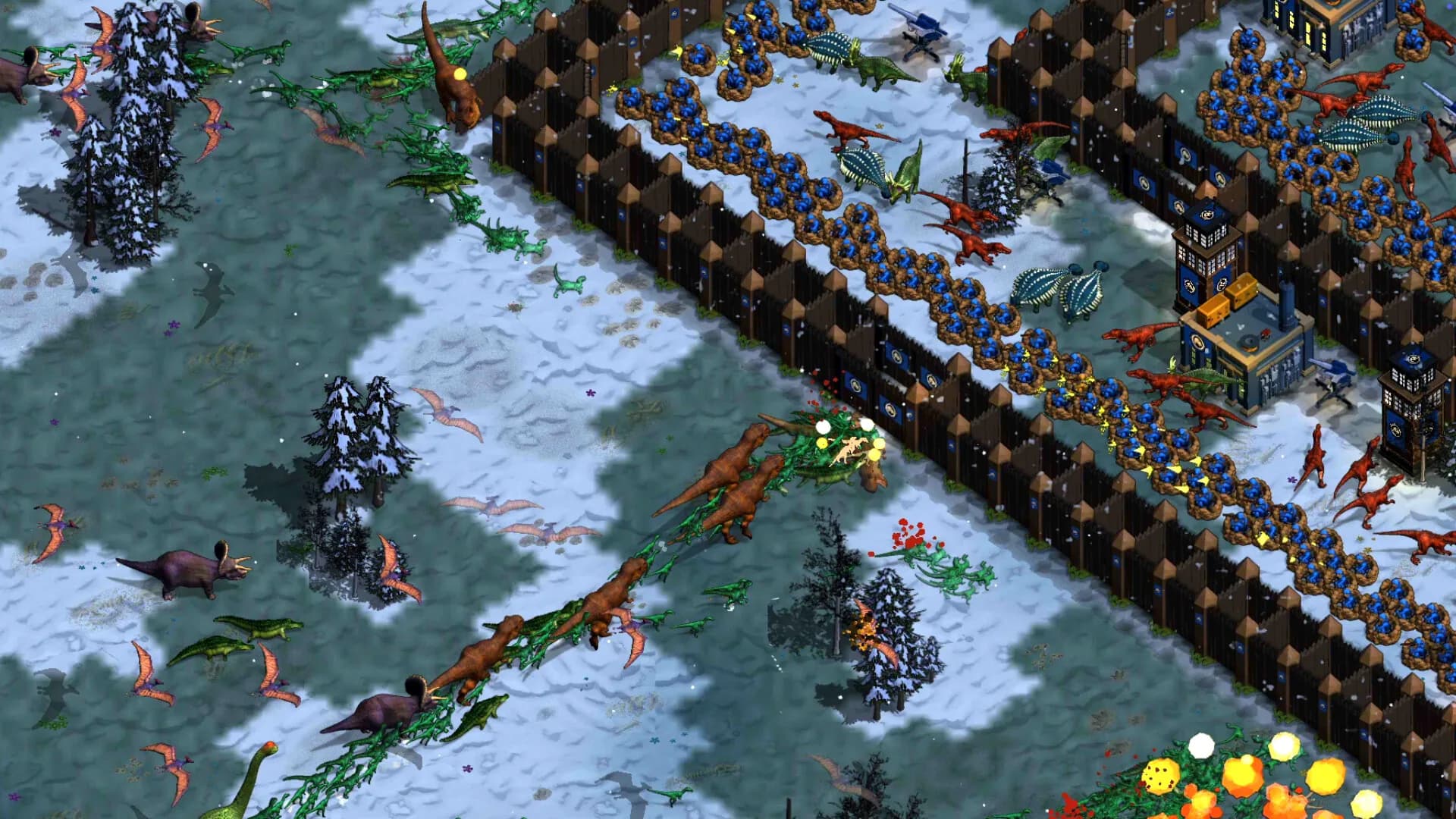 Repterra görsel 3