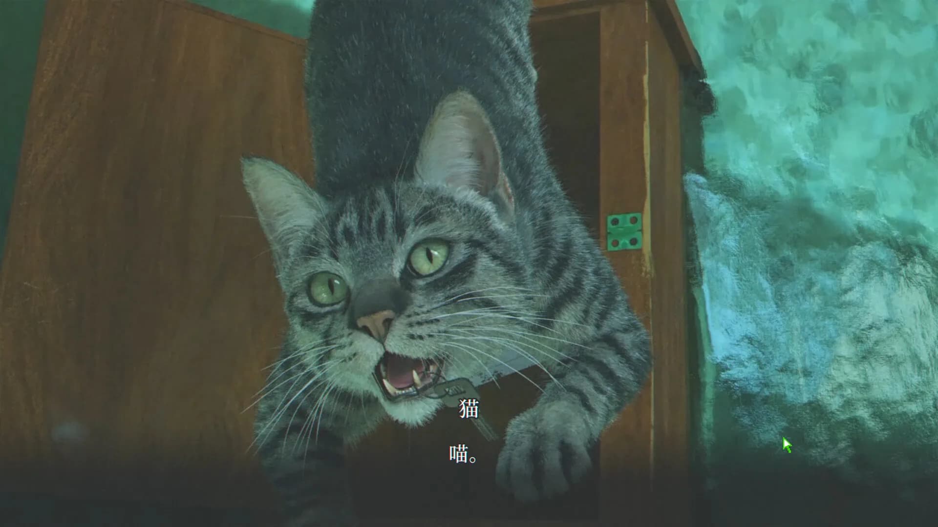 杀青 görsel 13