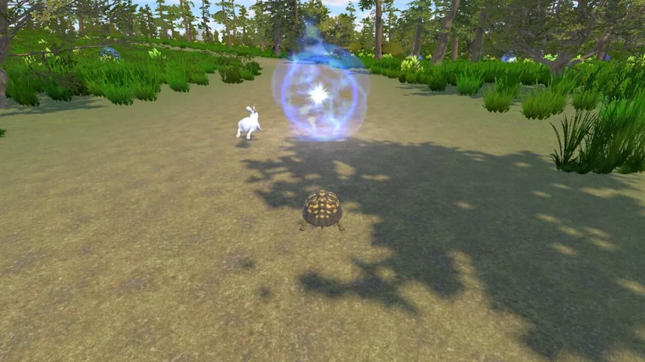 Rabbit and Turtle görsel 2