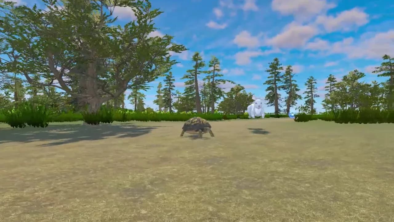 Rabbit and Turtle görsel 3