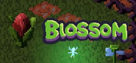 Blossom