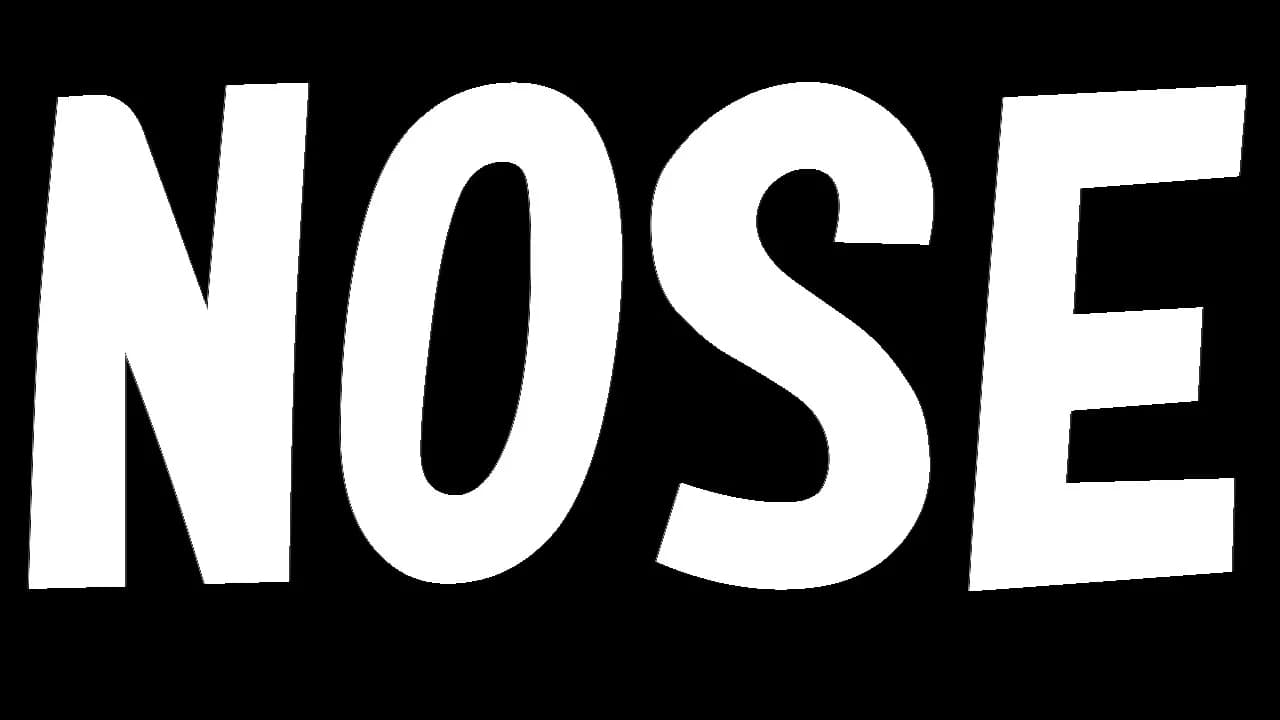 NOSE görsel 7