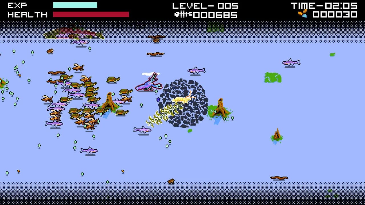 Shrimp.io görsel 6