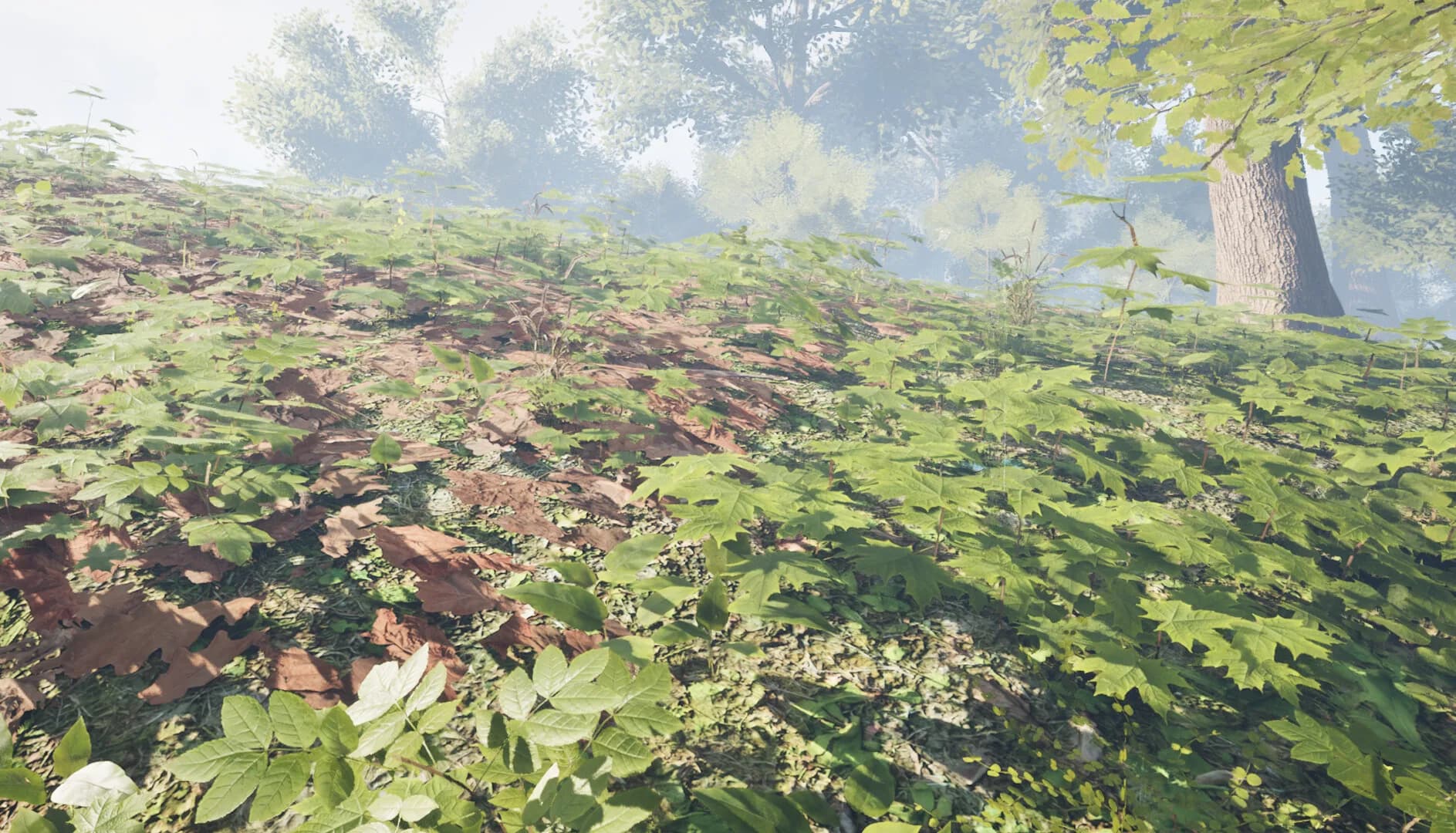 Herbal Hunter görsel 6