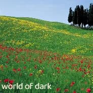 world of dark görsel 2
