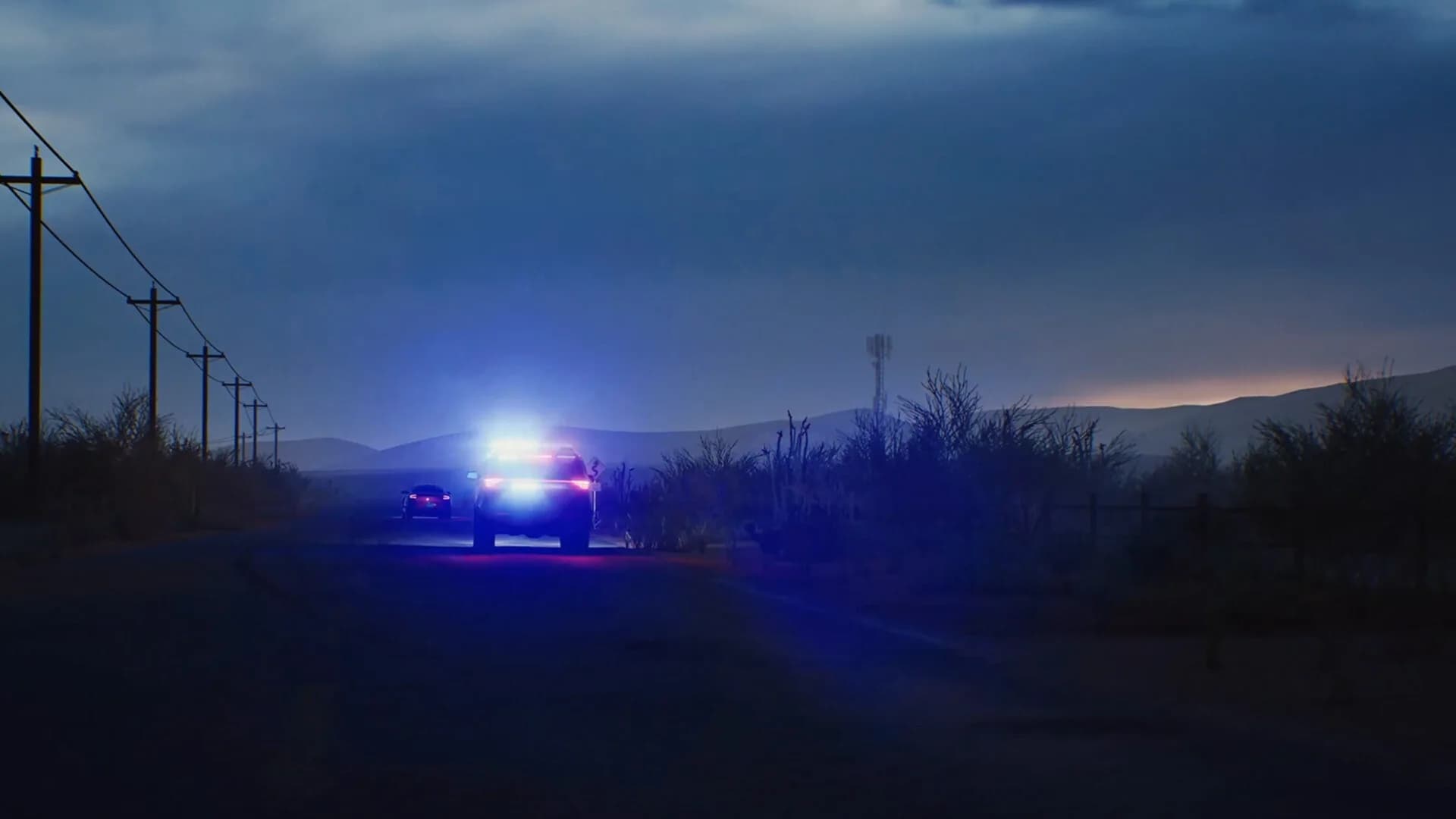 Highway Police Simulator görsel 14