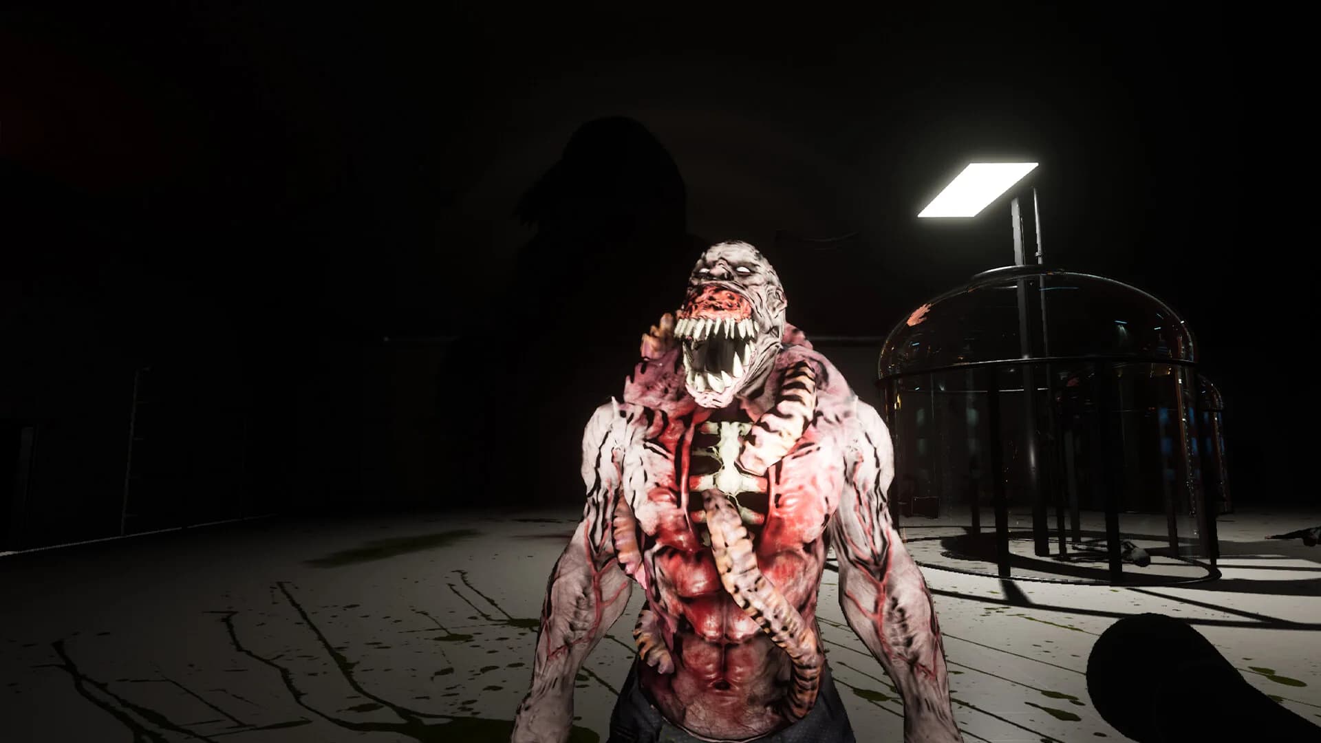 Area 19 görsel 7