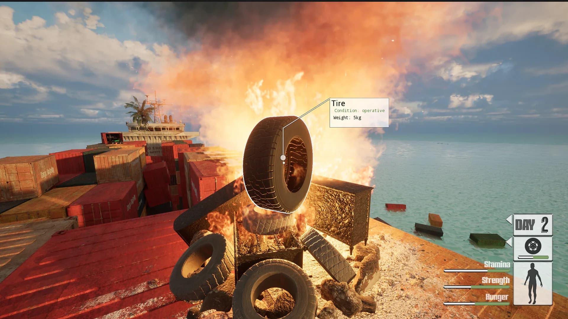 30 Days on Ship görsel 3
