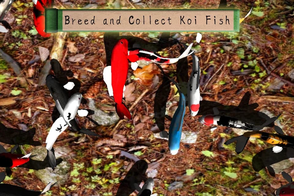 Koi Garden görsel 2