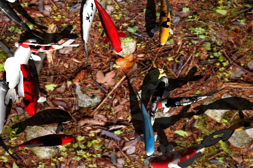 Koi Garden görsel 5