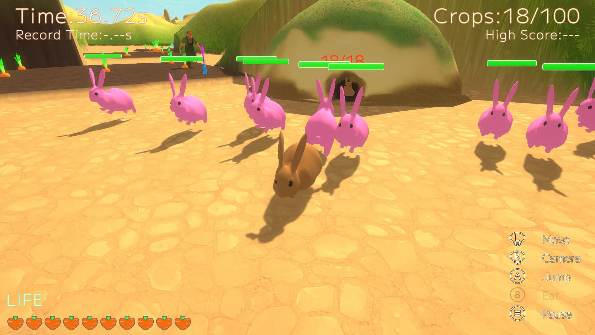 Carrot Paradise görsel 6