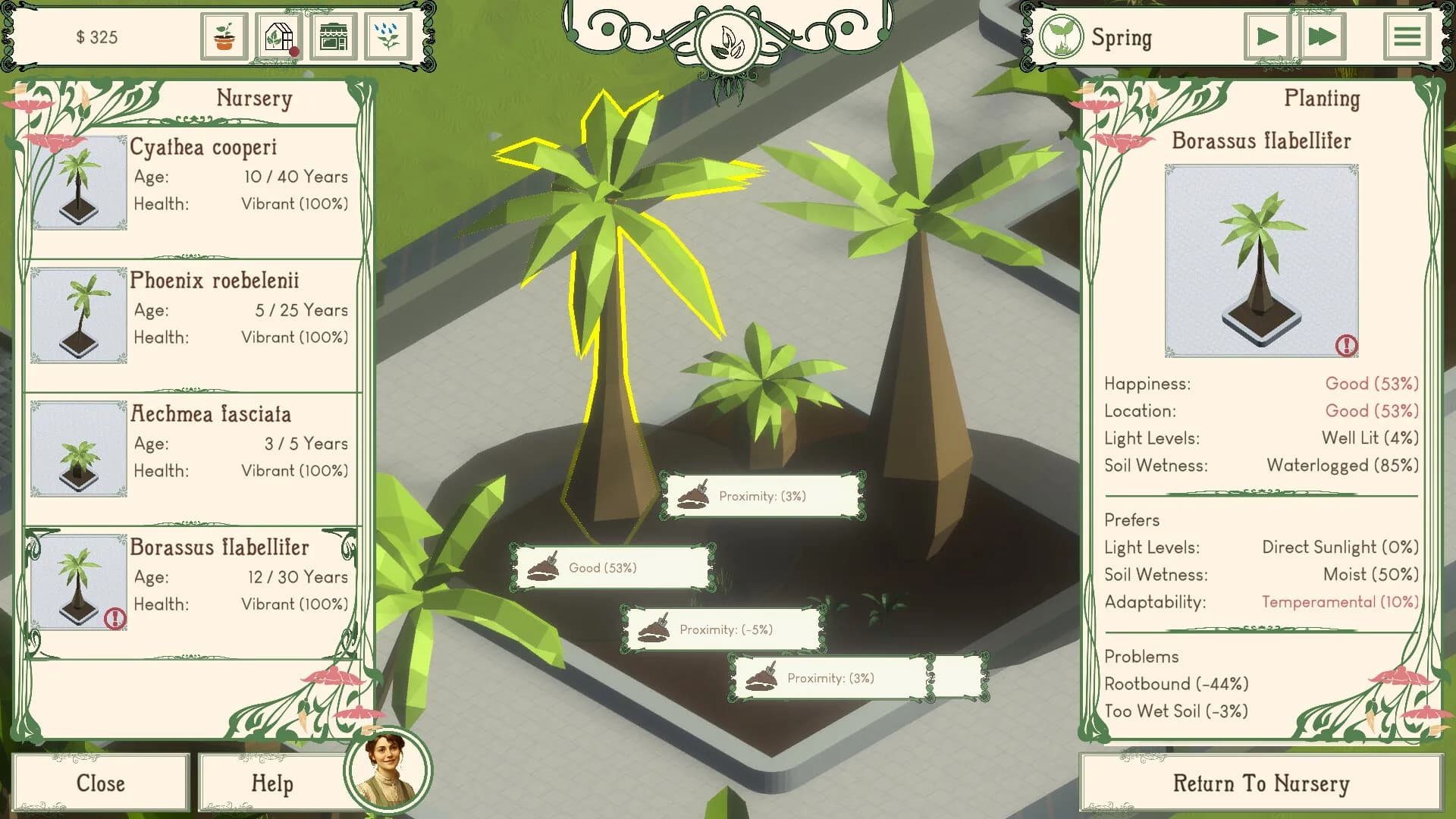 Palm Paradise Garden görsel 4