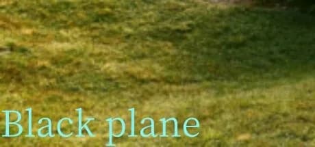Black plane görsel 1