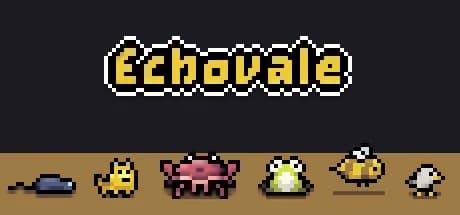 Echovale görsel 1