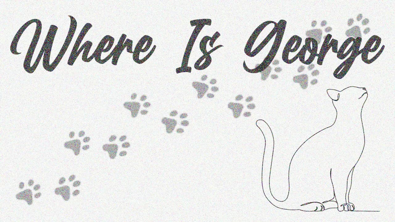 Where Is George görsel 8