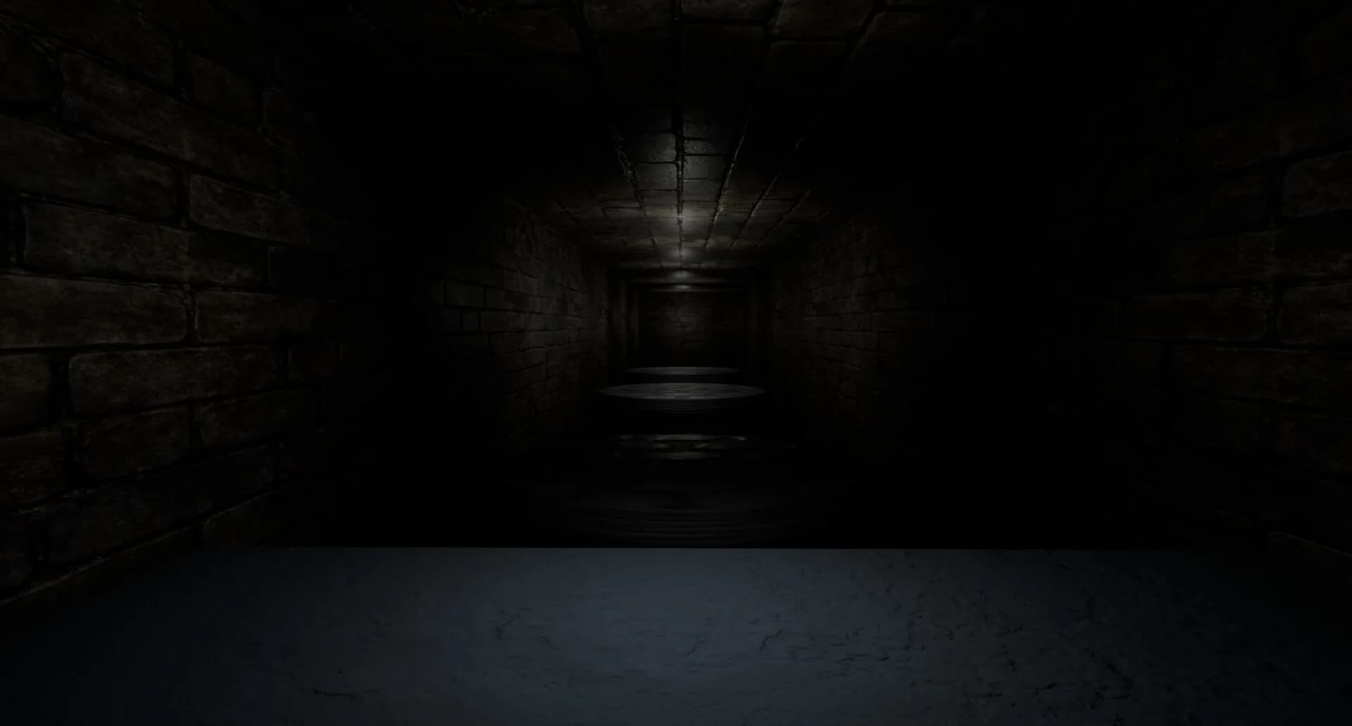 The Corridors görsel 6