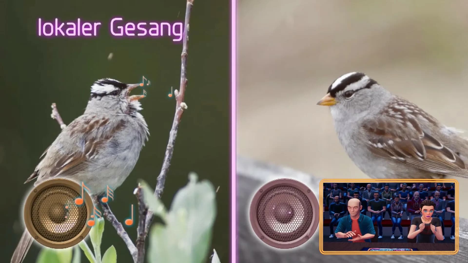 Wer weiß denn sowas? - Das 3. Spiel görsel 5