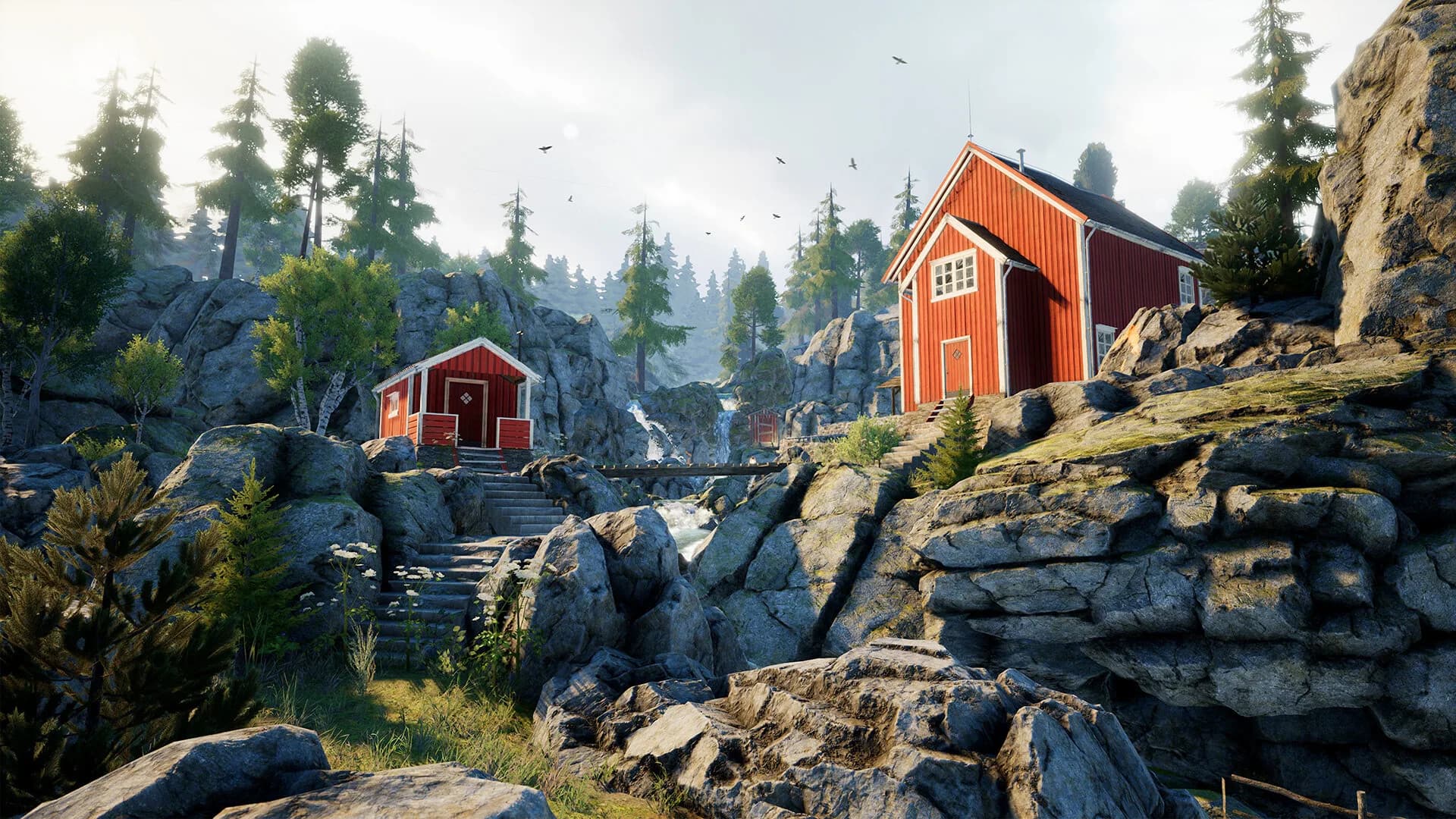 Vigor görsel 13
