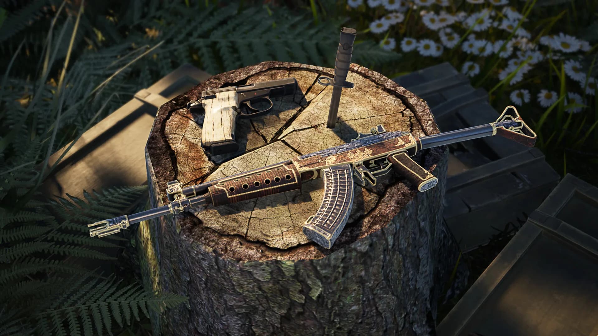 Vigor görsel 4