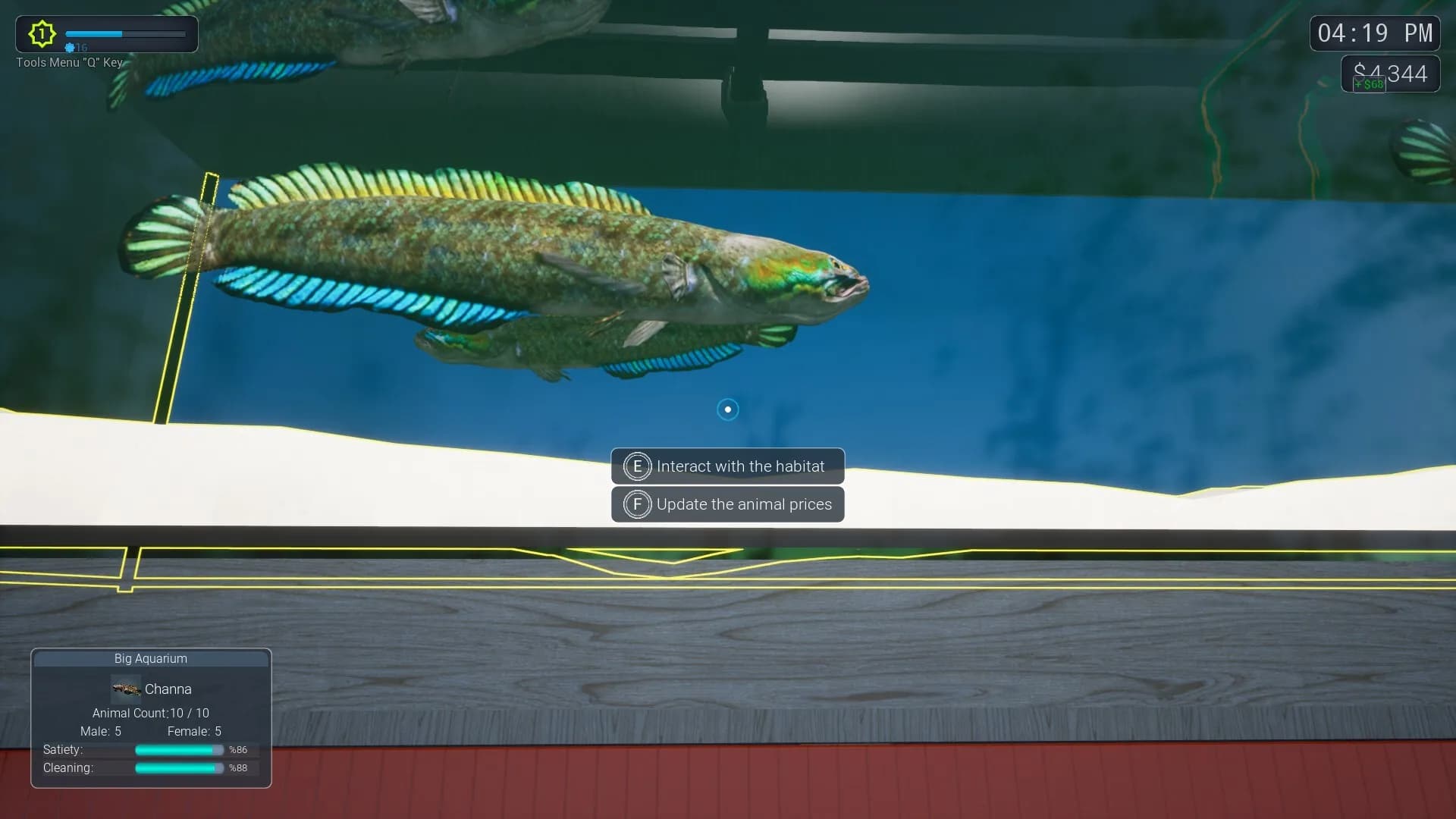 Exotica 2: Pet Shop Simulator görsel 11