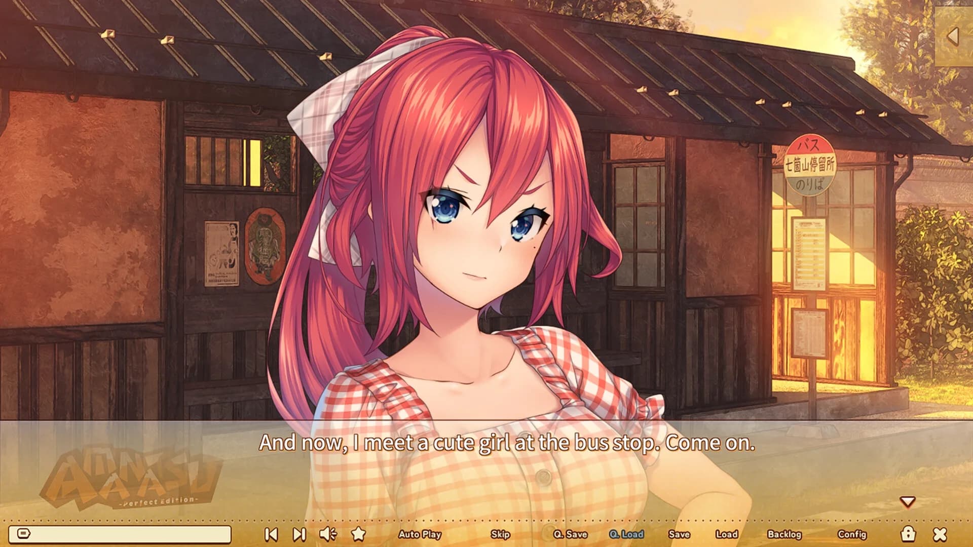 AMANATSU ~Perfect Edition~ görsel 10