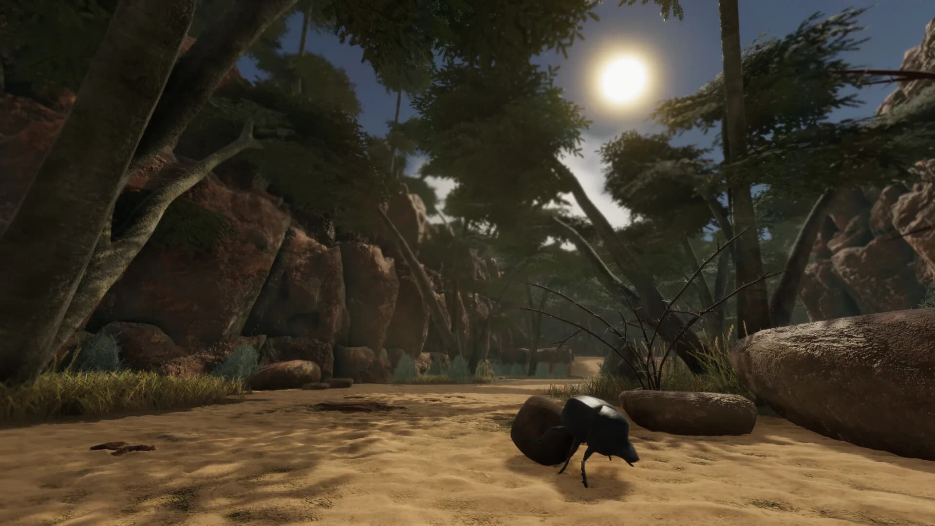 Kalahari’s End görsel 9