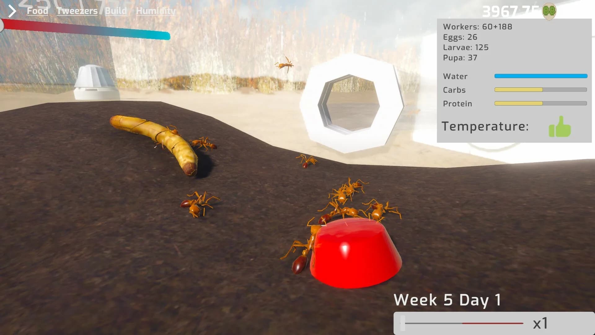 Ant Keeping Simulator görsel 3