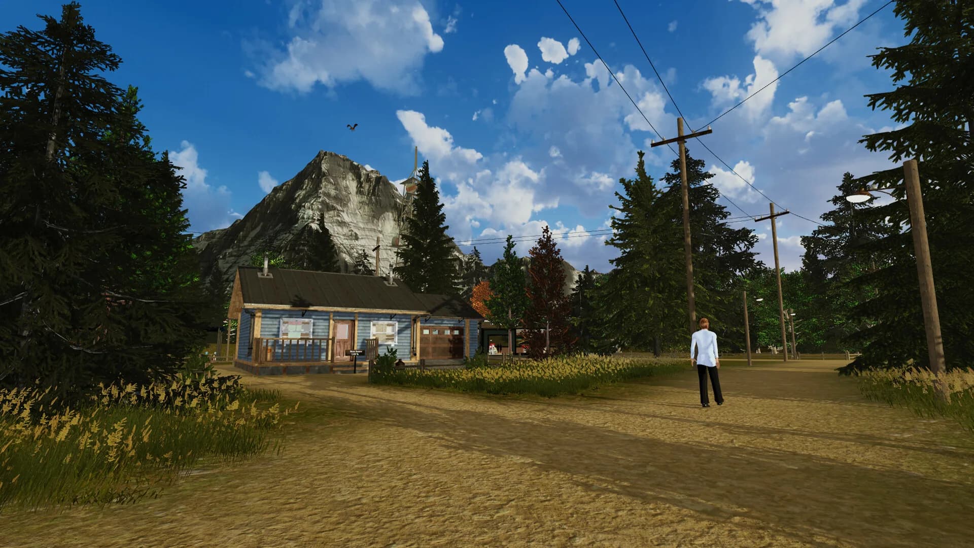 Countryside Life Simulator görsel 10