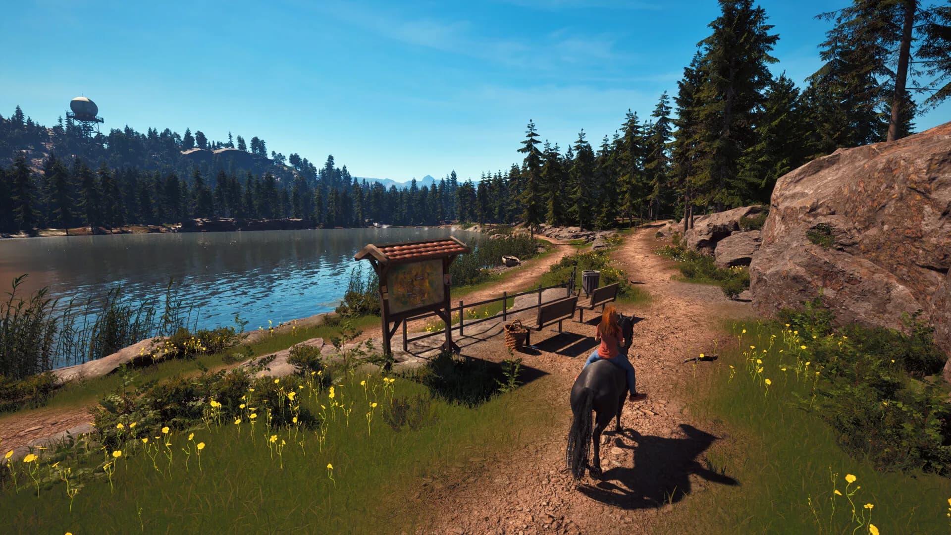 Windstorm: Start of a Great Friendship - Remastered görsel 2
