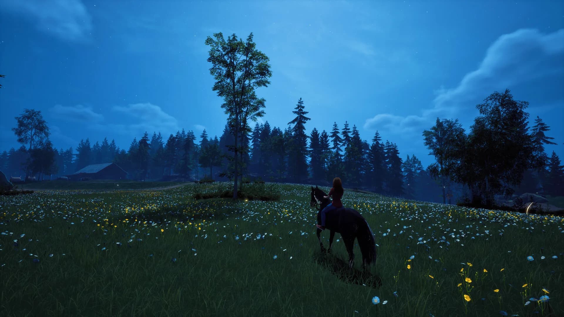 Windstorm: Start of a Great Friendship - Remastered görsel 3