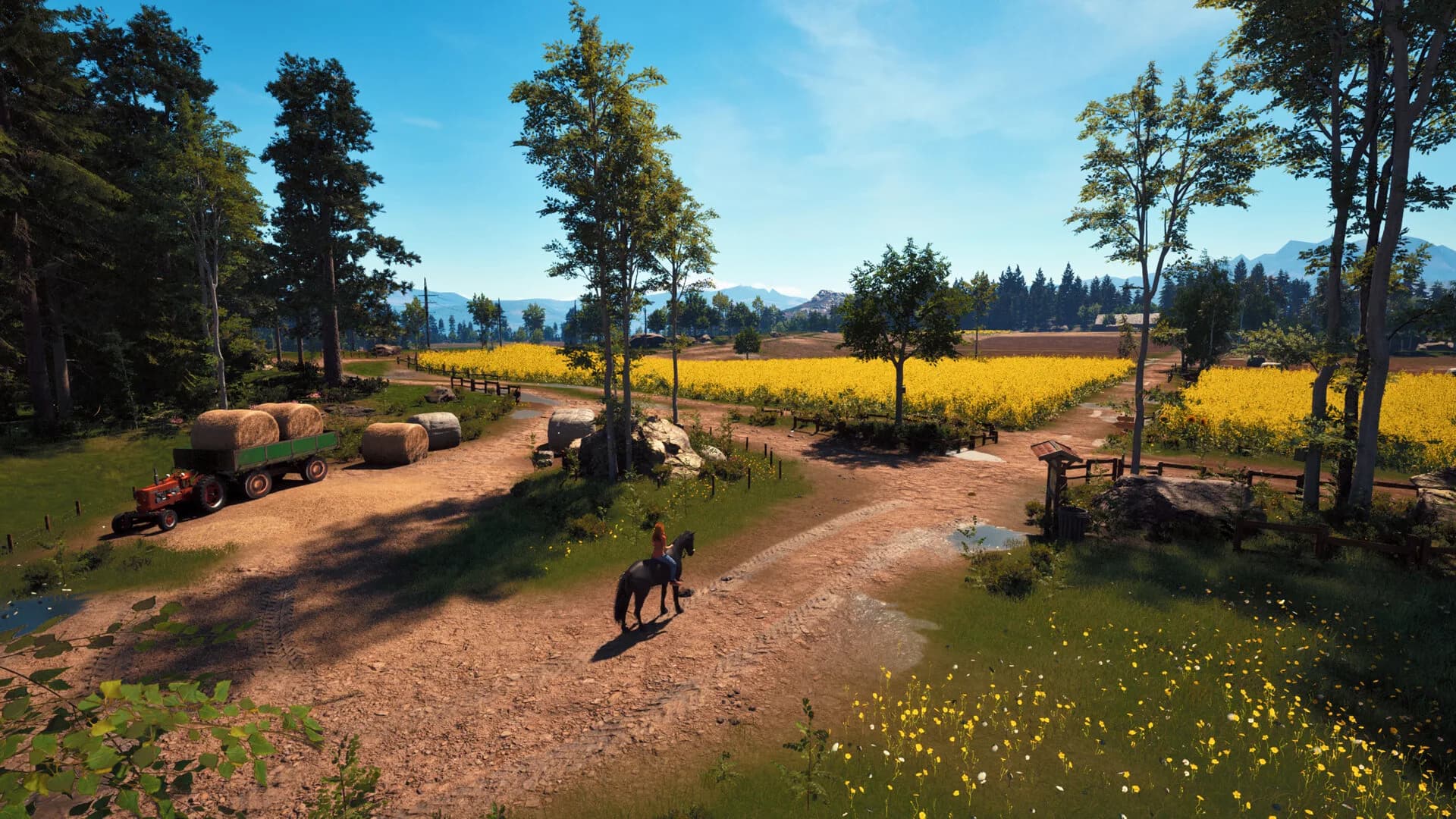 Windstorm: Start of a Great Friendship - Remastered görsel 5