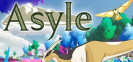 Asyle görsel 1