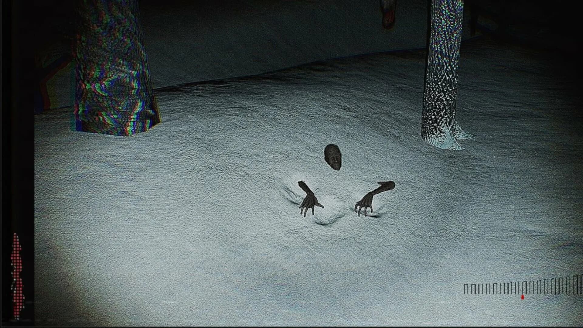 Silent görsel 13