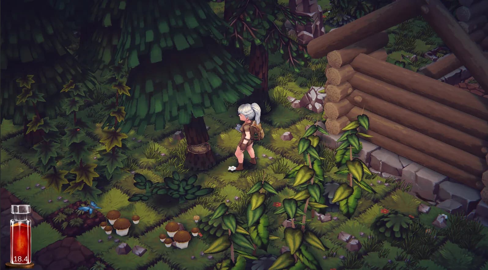 Nomadica görsel 11