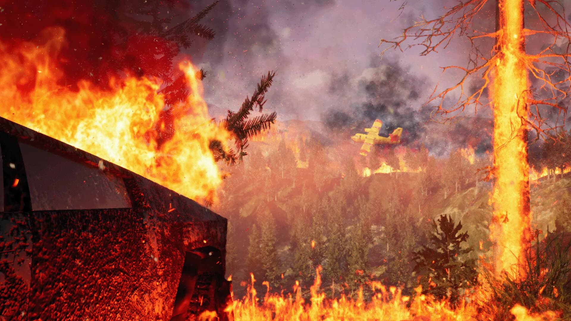 FIRE görsel 5