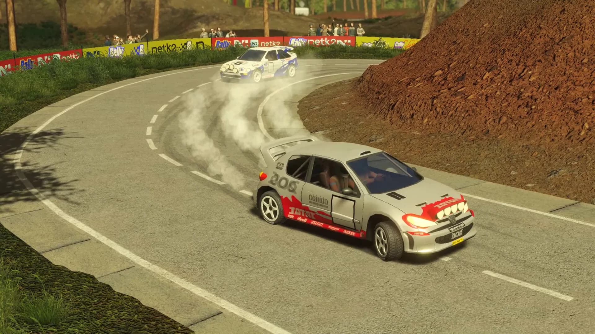 Rally Arcade Classics görsel 23