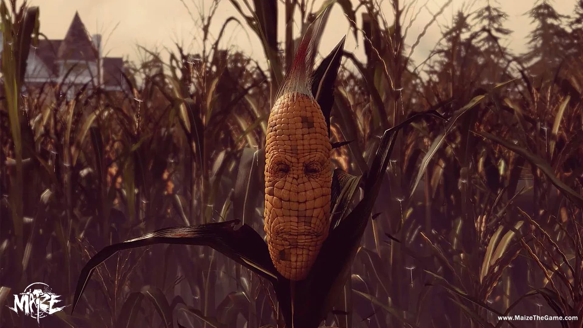 Maize görsel 2