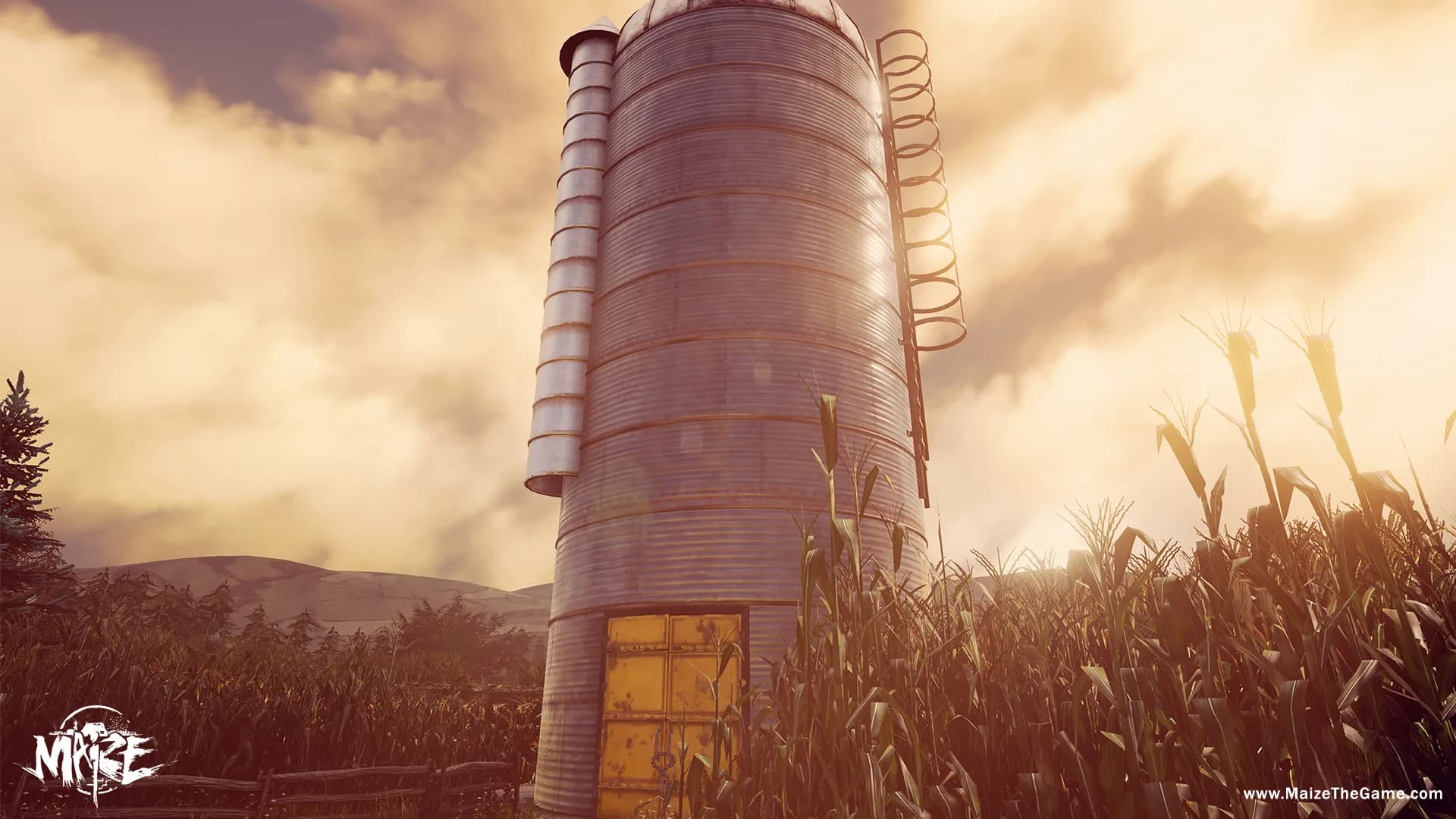 Maize görsel 6