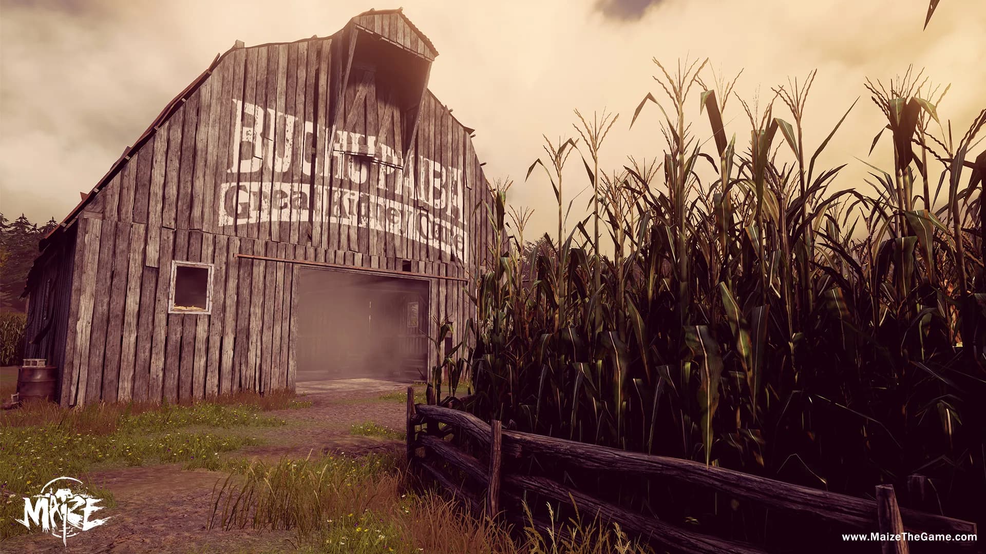 Maize görsel 7