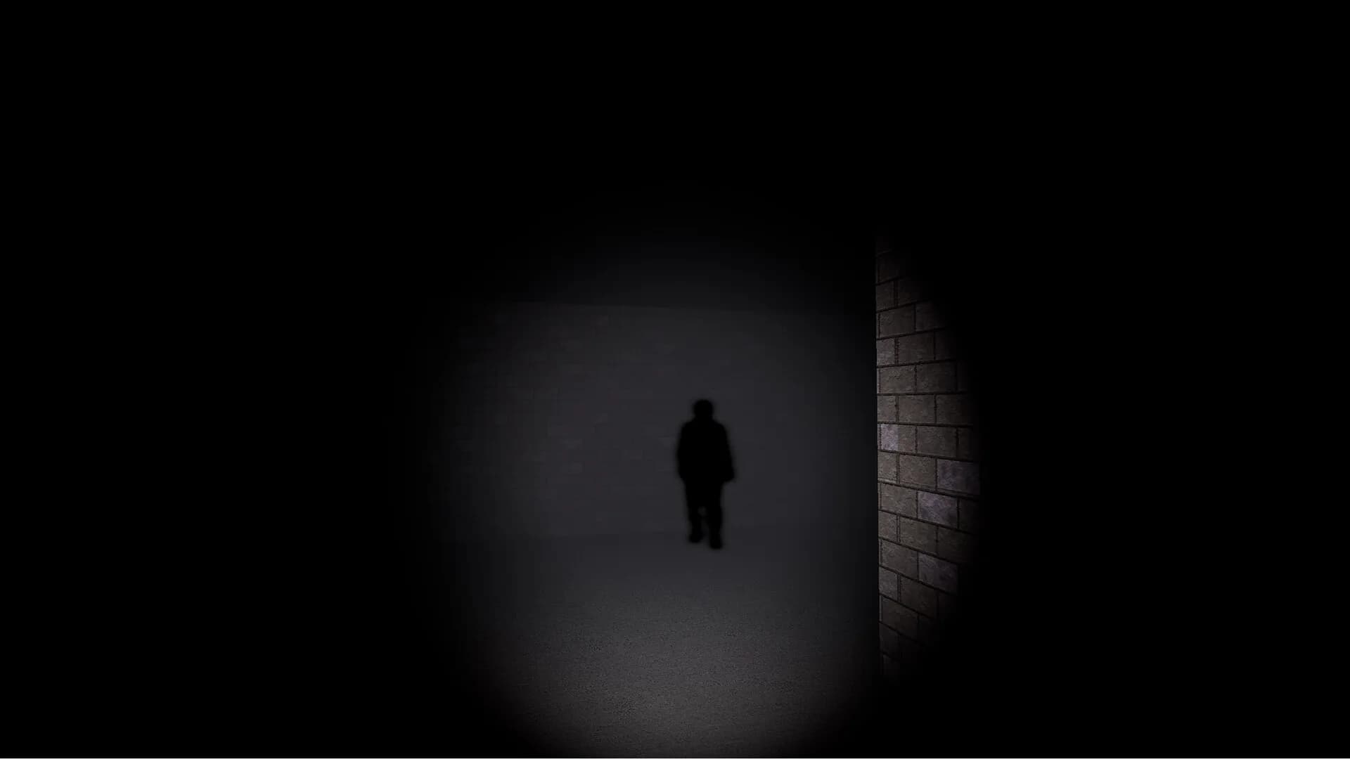 Seeker Of Shadows görsel 2