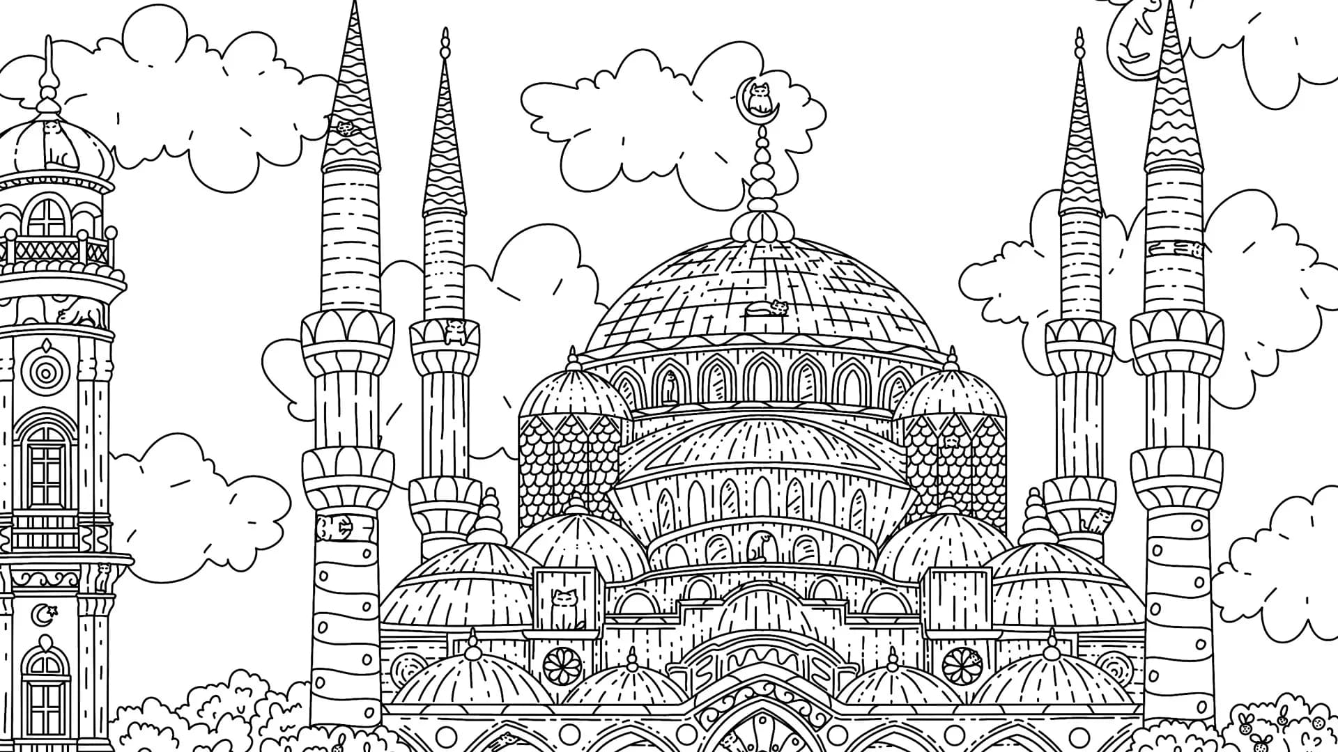 100 Istanbul Cats görsel 16