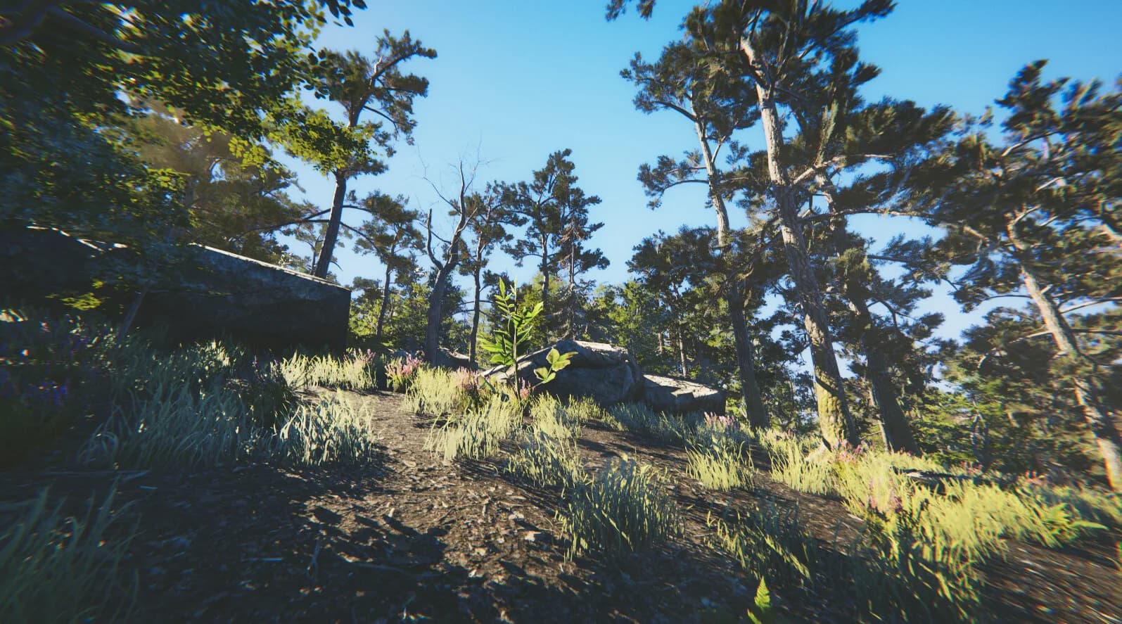 Escape Island görsel 19